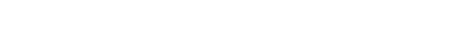 Bleisure Travel